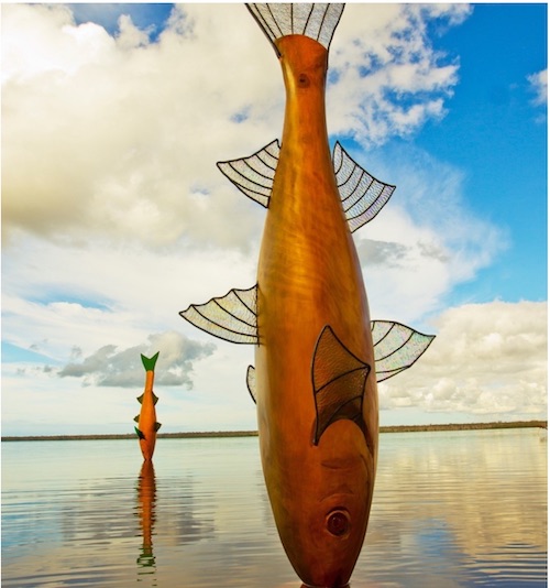 Floating Land - Lake Cootharaba 2015