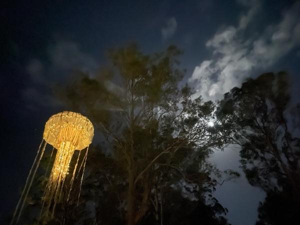 Age of The Jellyfish – Floating Land 2021